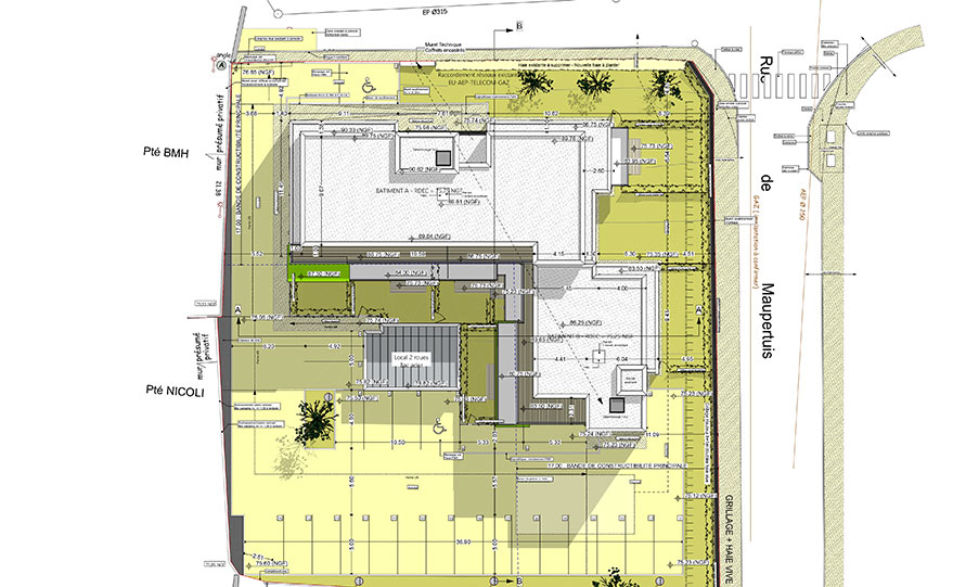 area plan de masse 2d